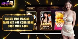 Tài Xỉu MD5 Max789 - Game Kết Hợp Công Nghệ Cược Minh Bạch